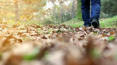 Park ormanında yürüyen yürüyüşçü ayakları