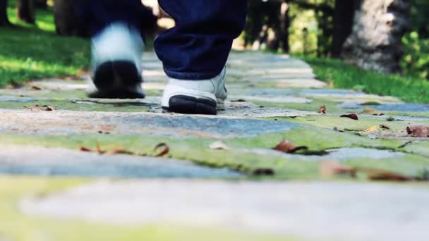 Caminhante pés andando no parque — Vídeo de Stock