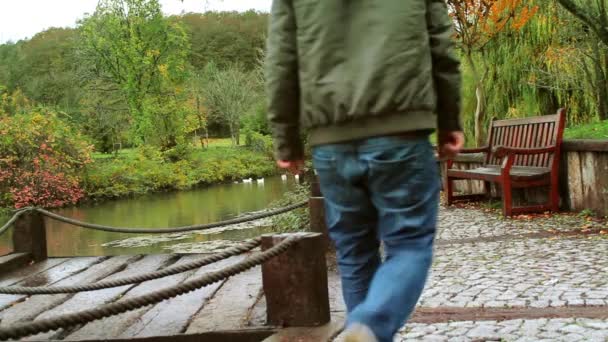 Berjalan di hutan taman, konsep musim gugur — Stok Video