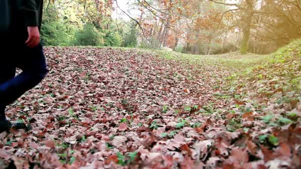 Hombre pies caminando en parque otoño bosque — Vídeo de stock