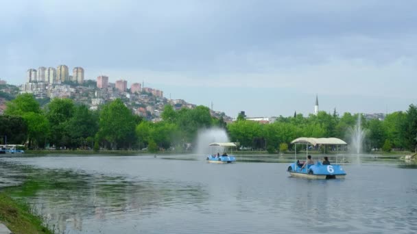 Hajómozgó park — Stock videók