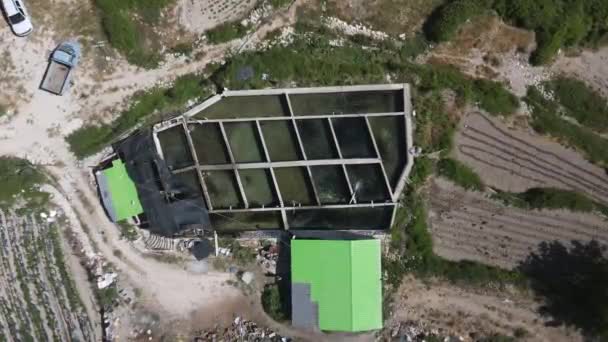 Havuz bölmeleri insansız hava aracı çiftliğinde balık tutuyor — Stok video