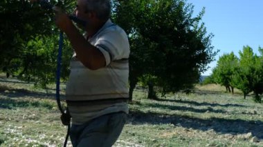 İnsan elma bahçesine ilaç püskürtür.