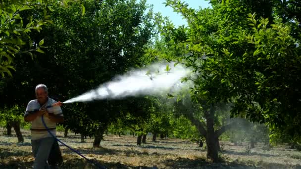 Adulto homem sprays medicina jardim — Vídeo de Stock