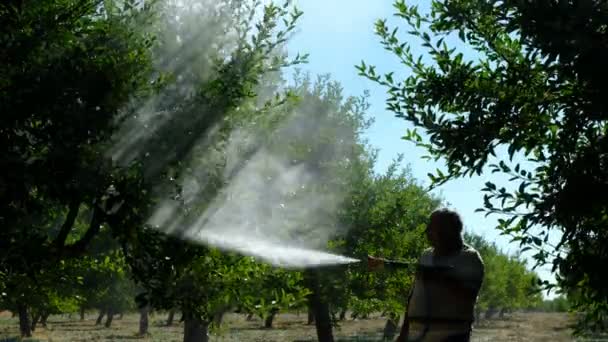 Adulto homem sprays medicina jardim — Vídeo de Stock