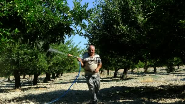 Le vieil homme pulvérise des pommiers — Video