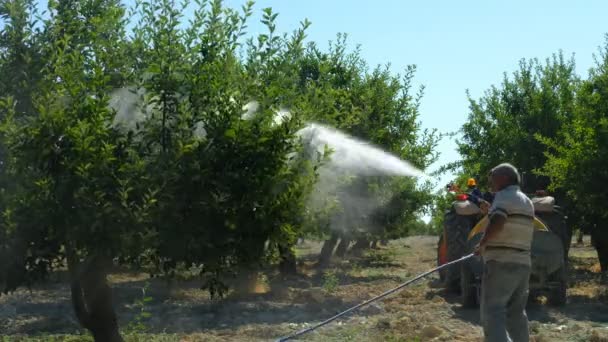 Old Man sprays medicine garden — Stock Video