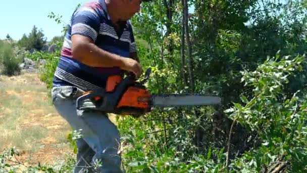 Muž řezání dřeva s řetězovou pilou zahrada — Stock video