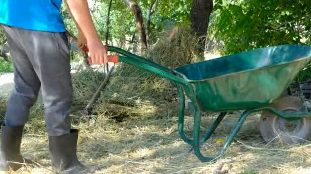 Man loading weed into wheelbarrow — Stock Video