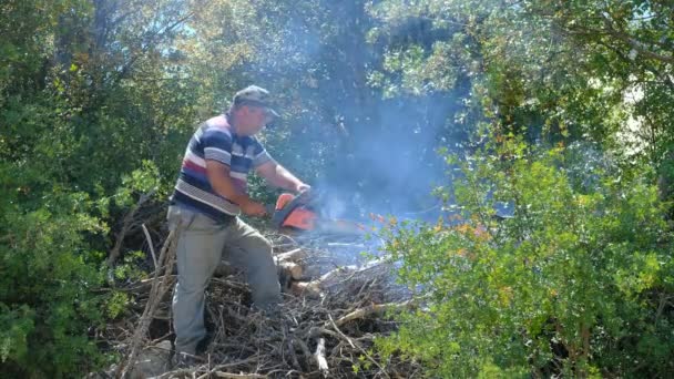 Man cutting wood with chainsaw garden — Stock Video