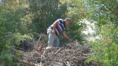 Elektrikli testereyle odun kesen adam.