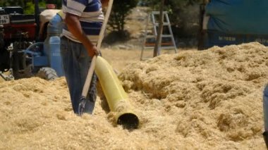 Spreyci yetişkin işçi