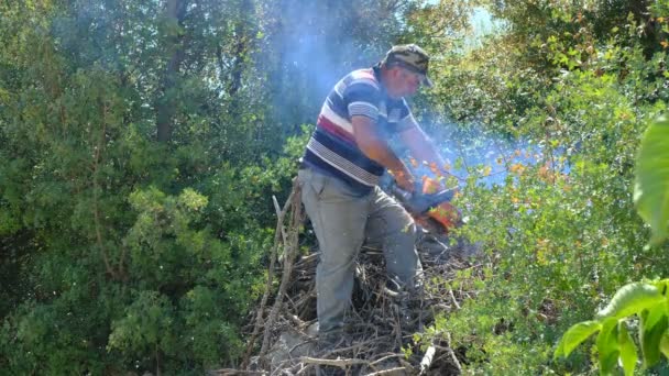 Чоловік ріже деревину бензопилою в сільській місцевості — стокове відео