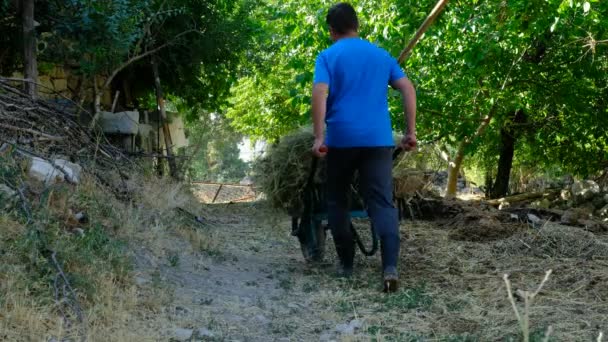 Agricultor carregando erva daninha no carrinho de mão — Vídeo de Stock
