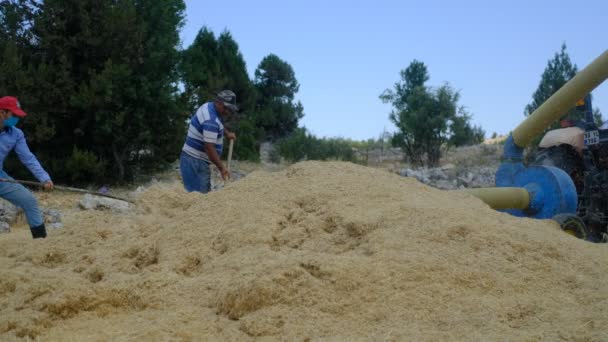 Feno pulverizador agricultor — Vídeo de Stock