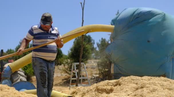 Hay sprayer成年农民 — 图库视频影像