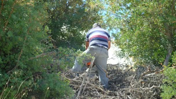 Człowiek cięcia drewna z piłą łańcuchową wsi — Wideo stockowe