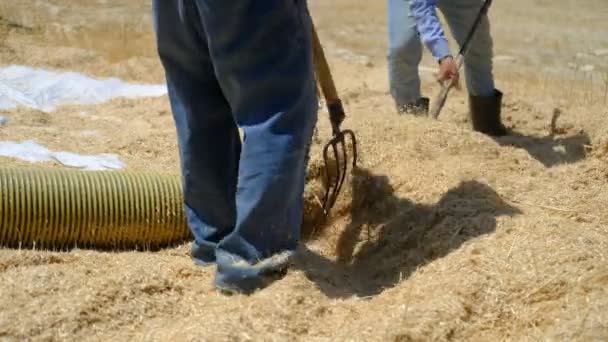 Feno pulverizador agricultor — Vídeo de Stock