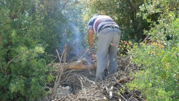 Hombre cortando madera con motosierra — Vídeos de Stock