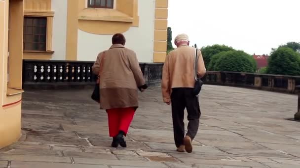 Coppia anziana che fa una passeggiata senza fretta lungo la corsia del parco — Video Stock