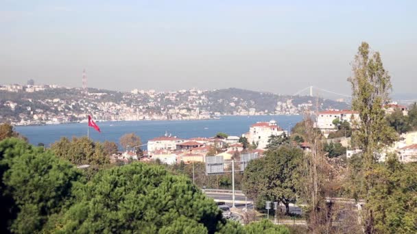 Árbol frente a la ciudad y el mar, en Estambul — Vídeo de stock