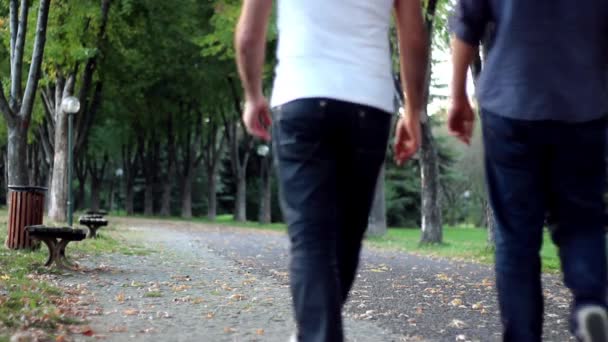 Jeunes hommes marchant en forêt dans les loisirs — Video