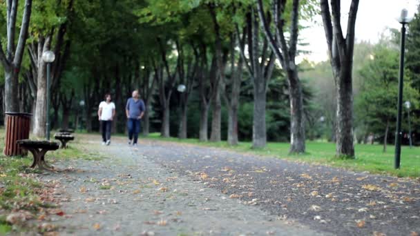 Junge Männer spazieren in Freizeit durch Park-Garten — Stockvideo