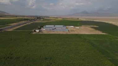 Çiftlik sade hayvan çiftliği İHA 'sı