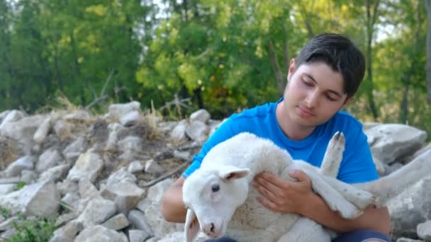 Joven besándose cordero — Vídeos de Stock