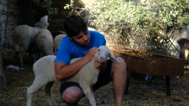 Młody pasterz opiekujący się owieczką — Wideo stockowe