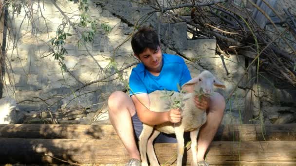 Jóvenes agricultores alimentando cordero — Vídeo de stock