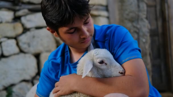 Shepherd looking after lamb barn — Stock Video