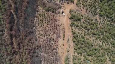 Yeşil kahverengi kül, kurumuş toprak.