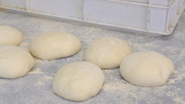Raw dough, raw dough image — Stock Video