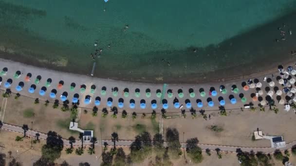 度假沙滩游泳滩无人驾驶飞机 — 图库视频影像
