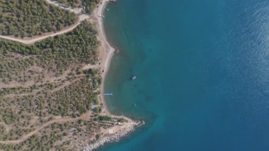 Deniz ormanı büyüleyici kayalık mavi