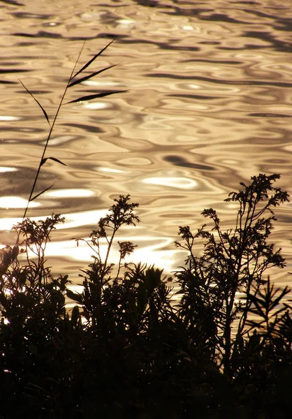 Schöner Niedergang am See — Stockfoto