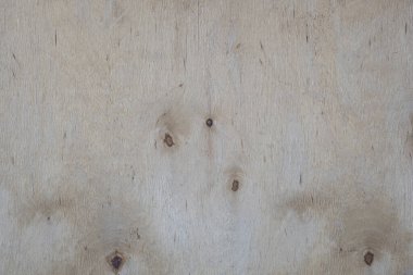 Arkaplan olarak yumuşak kontrplak lifleri.