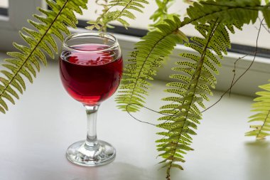 Pencerenin arkasında bir kadeh kırmızı şarap..