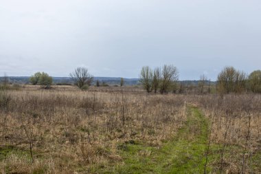 Bulutlu bir günde bahar çayırı.