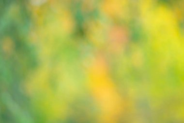 Sonbahar doğasının bulanık, yumuşak pastel görüntüsü.