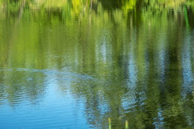 Küçük bir nehrin akan suları doğal bir yaz arkaplanı gibidir..