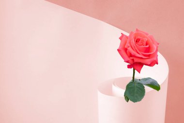 Metin materyali ve kırmızı gül için bir sayfa kağıt..