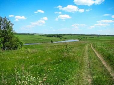 Doğa ilkbaharın başlarında kırsalda.