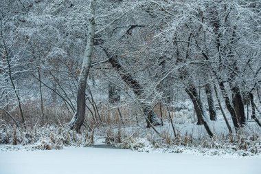 Küçük bir nehirde bulutlu bir kış günü.