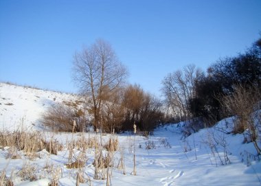 Güneşli bir kış gününde karla kaplı doğa.