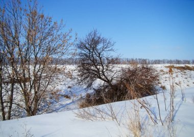 Güneşli bir kış gününde karla kaplı doğa.