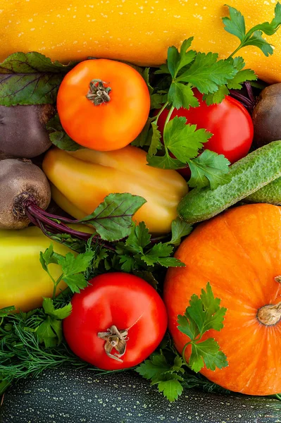 Συγκομιδή Φθινοπωρινά Λαχανικά Ξύλινο Φόντο Χορτοφαγικά Διάταξη Είναι Μια Κορυφαία — Φωτογραφία Αρχείου
