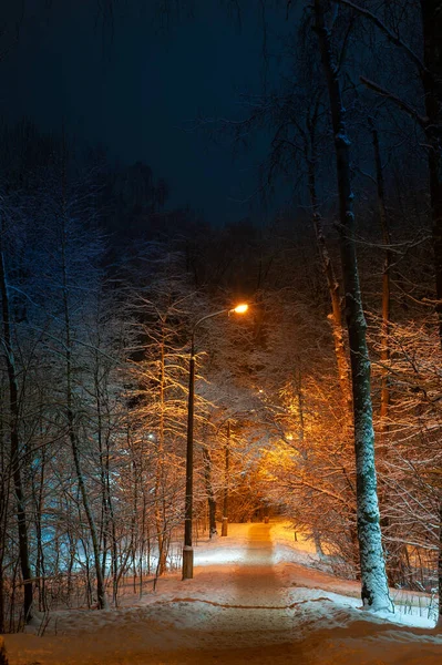 Die Straße im nächtlichen Winterpark wird von Laternen beleuchtet. — Stockfoto