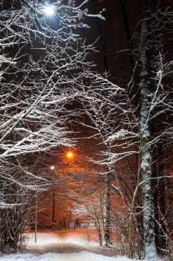 Gece parkındaki yol fenerlerle aydınlatılır..